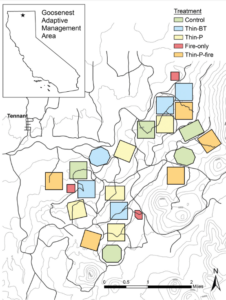 A map of the Goosenet Adaptive Management Area in the Klamath National Forest. The map has different color boxes to show the different treatment areas. 