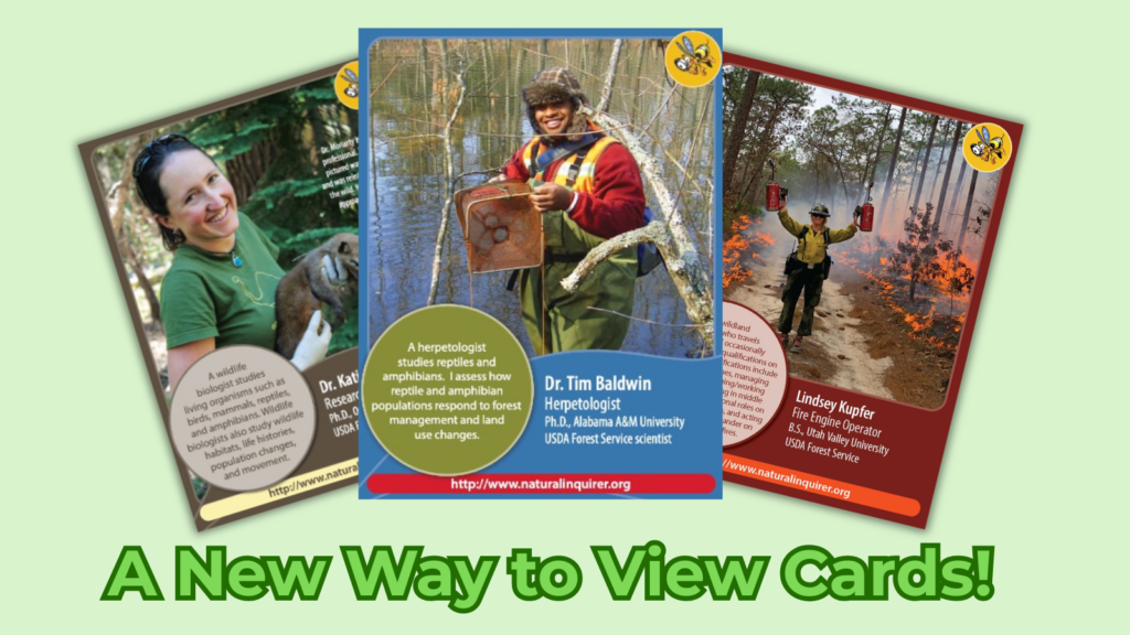 A fan of three collector cards with the text "A New Way to View Cards!"