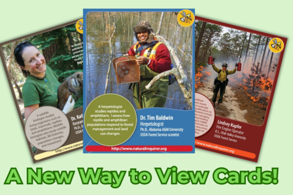A fan of three collector cards with the text 